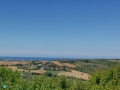 Tavullia